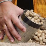 صادرات بادام زمینی به آفریقا